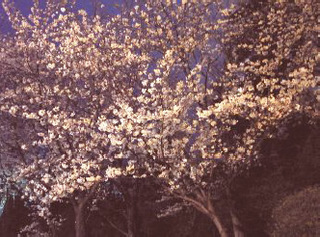 20111024_02.jpg