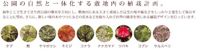 20111112_02.jpg