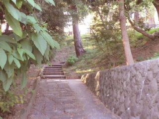 20111121_01.jpg