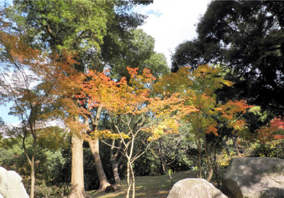 20111125_01.jpg