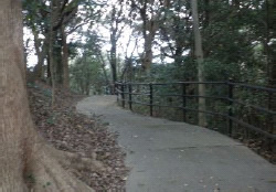 20111125_02.jpg