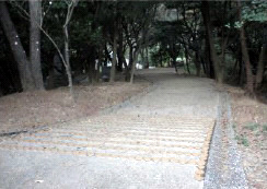20111125_04.jpg