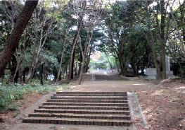 20111125_05.jpg