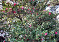 20111125_07.jpg