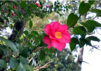 20111125_08.jpg