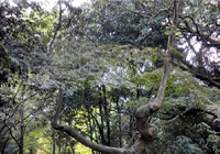 20111125_10.jpg
