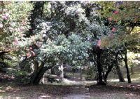 20111125_11.jpg