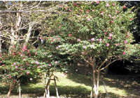 20111125_12.jpg