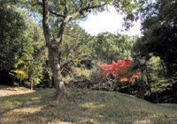 20111125_13.jpg