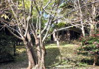 20111125_14.jpg
