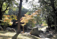 20111125_15.jpg