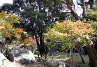 20111125_16.jpg