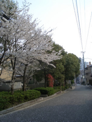 20120409_07.jpg