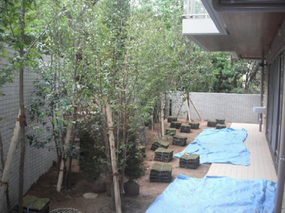 20120906_03.jpg