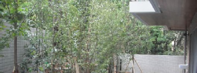 20120914_01.jpg