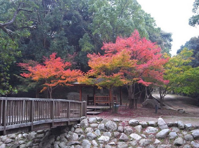 20121126_01.jpg