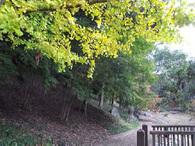 20121126_02.jpg