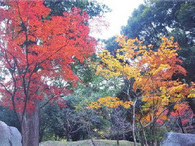 20121126_03.jpg