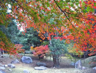 20121126_04.jpg