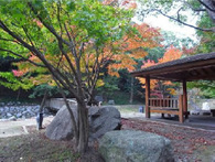 20121126_05.jpg