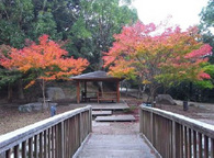 20121126_06.jpg