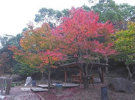 20121126_07.jpg