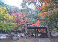 20121126_08.jpg