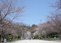 20130322_02.jpg
