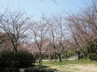 20130322_03.jpg