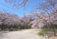 20130322_04.jpg