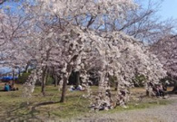 20130322_05.jpg