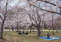 20130322_06.jpg