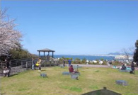 20130322_07.jpg