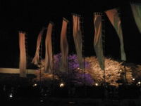 20130330_01.jpg