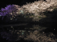 20130330_02.jpg