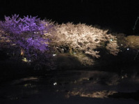 20130330_04.jpg