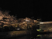 20130330_05.jpg