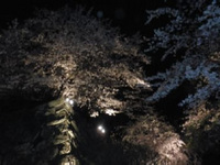 20130330_06.jpg
