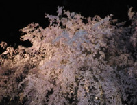 20130330_07.jpg