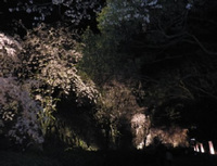 20130330_08.jpg