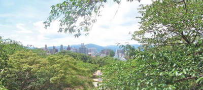 20130509_01.jpg
